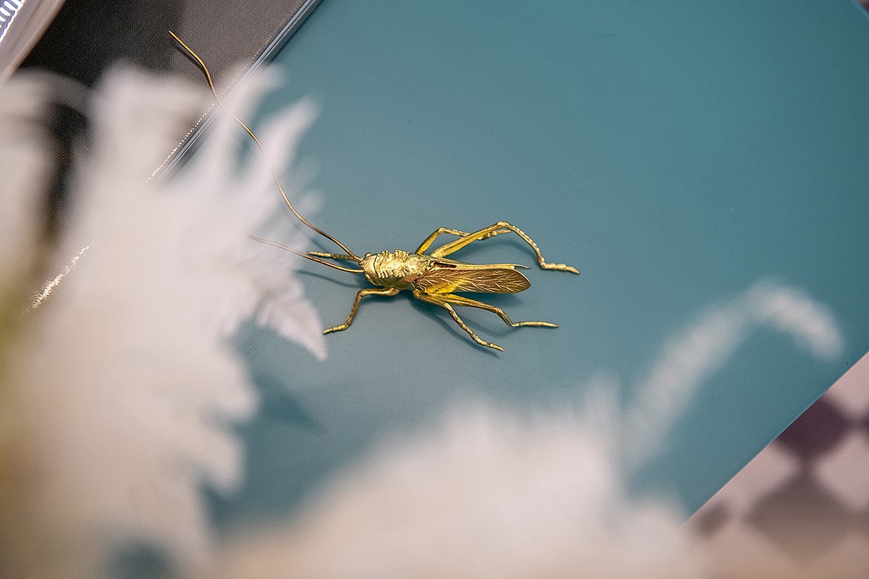 腔调之下,藏着年轻人向往的生活