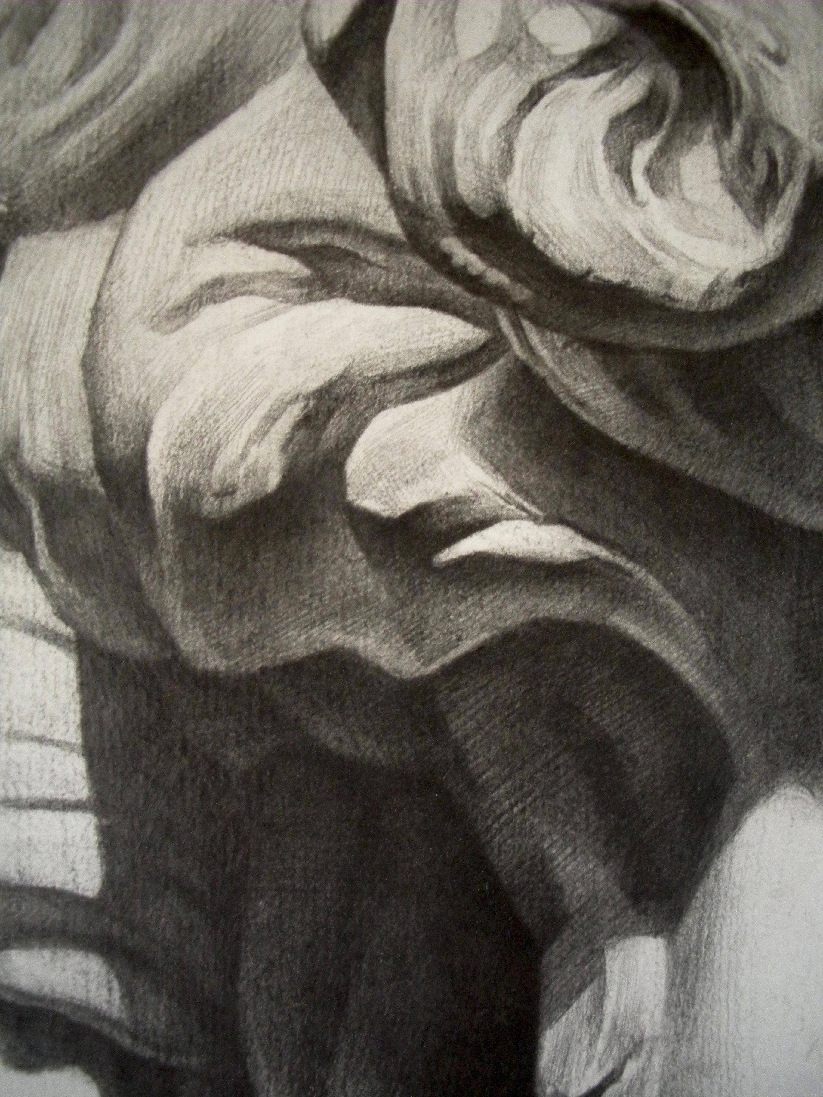 大卫石膏像(铅笔素描)