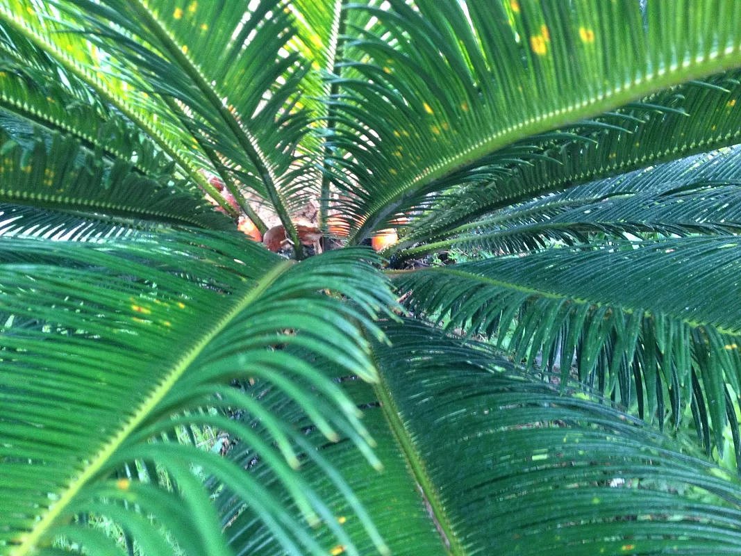 自然的韵律（图ZMzY2ODMxNTI=） - 其他摄影 - 站酷设计师249043487原创素材 - 站酷ZCOOL