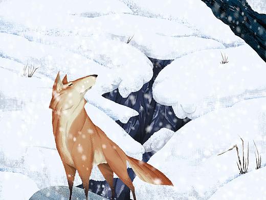 不知冬至不知春来