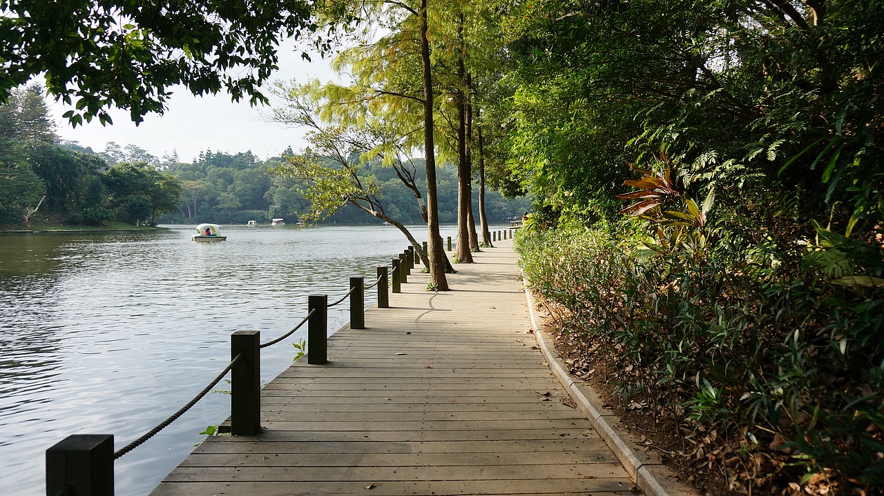 周末游玩罗湖仙湖植物园