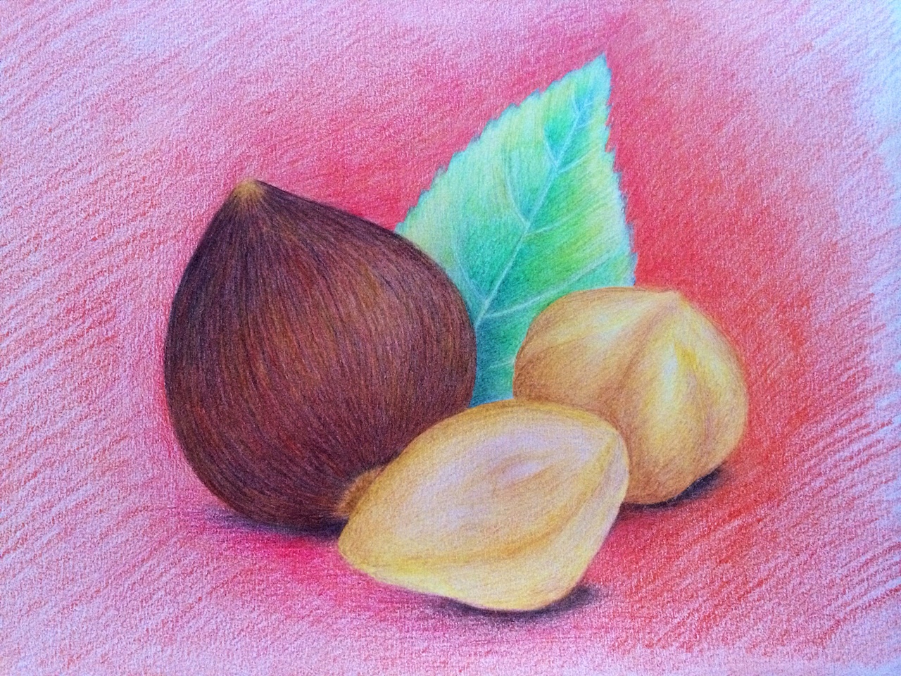 2014年,坚果(彩色铅笔)