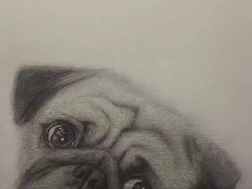 可憐巴巴（個人主頁-ZNTI2ODMxMTY=） - 繪畫 - 站酷設計師Z13814210原創(chuàng)素材 - 站酷ZCOOL