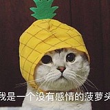 没有感情的凤梨头的头像