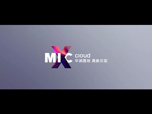 华润置地X1(提案)