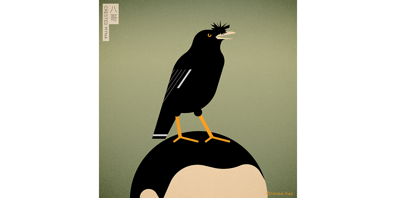 中国鸟 Birds of China - 3x3国际插画大赛获奖（图ZMjExODE3NDYw） - 艺术插画 - 站酷设计师阿好reneehao原创素材 - 站酷ZCOOL