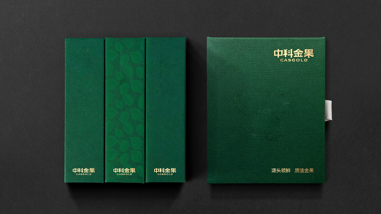 中科金果VIS设计