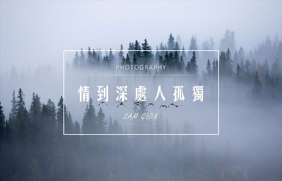文艺小清新的Card（图ZNjE3NTYxNTY=） - 品牌 - 站酷设计师Samlion原创素材 - 站酷ZCOOL
