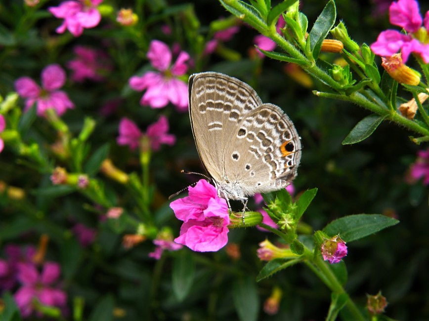 生活杂拍（图ZMjQ4ODY2NA==） - 风光摄影 - 站酷设计师lmzlucky12原创素材 - 站酷ZCOOL
