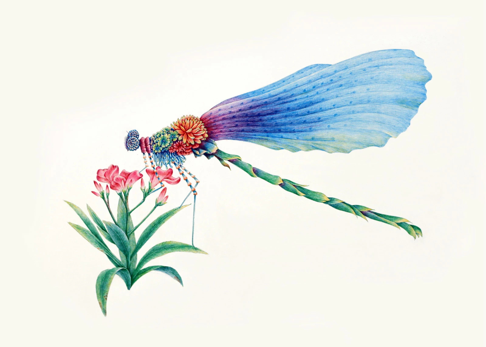 舒展《昆虫记—豆娘》|插画|商业插画|舒展 - 原创作品 - 站酷 (zcool