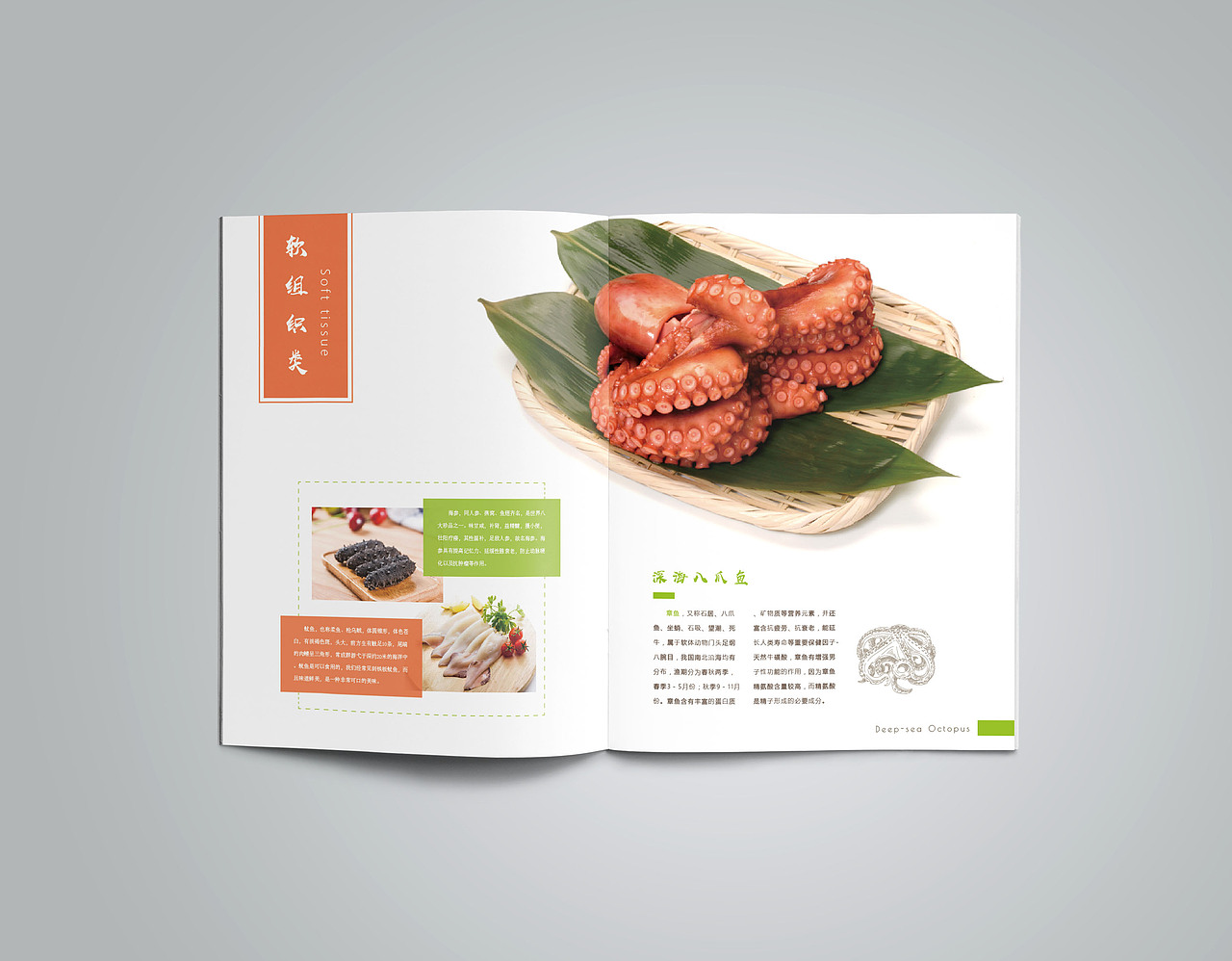 生鲜画册设计作品（图ZMTIwMjk2MjIw） - 书籍/画册 - 站酷设计师Se7en_1127原创素材 - 站酷ZCOOL