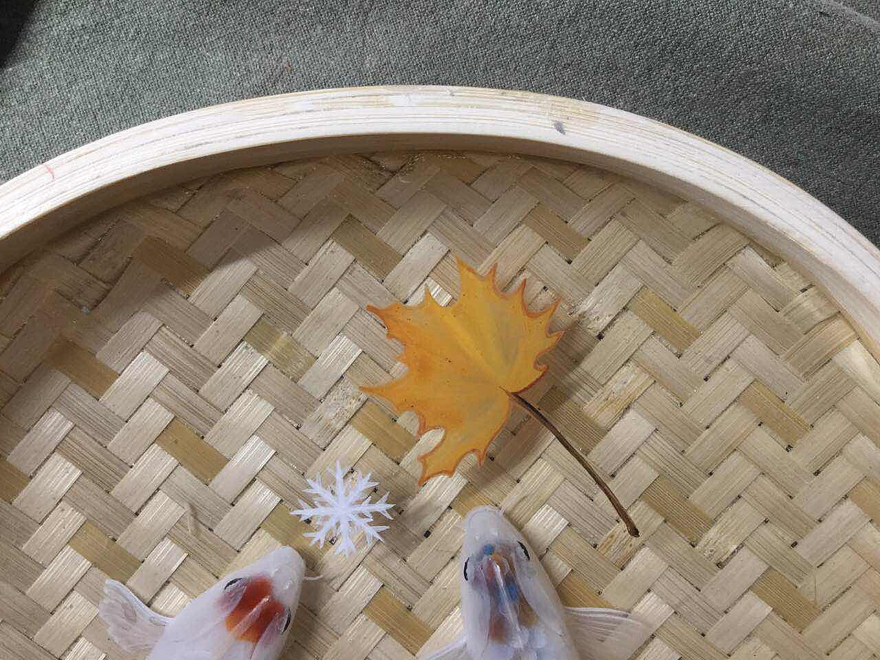 《暖冬》（图ZNjc5OTg4MjQ=） - 其他手工艺 - 站酷设计师跃然脂上原创素材 - 站酷ZCOOL