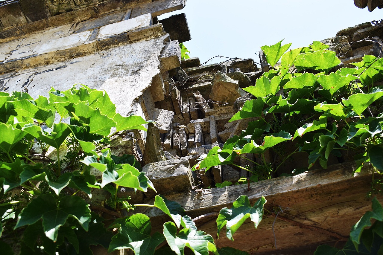 一组乱七八糟的摄影作品（图ZMTU4OTUzNTQ4） - 风光摄影 - 站酷设计师丁润泽原创素材 - 站酷ZCOOL