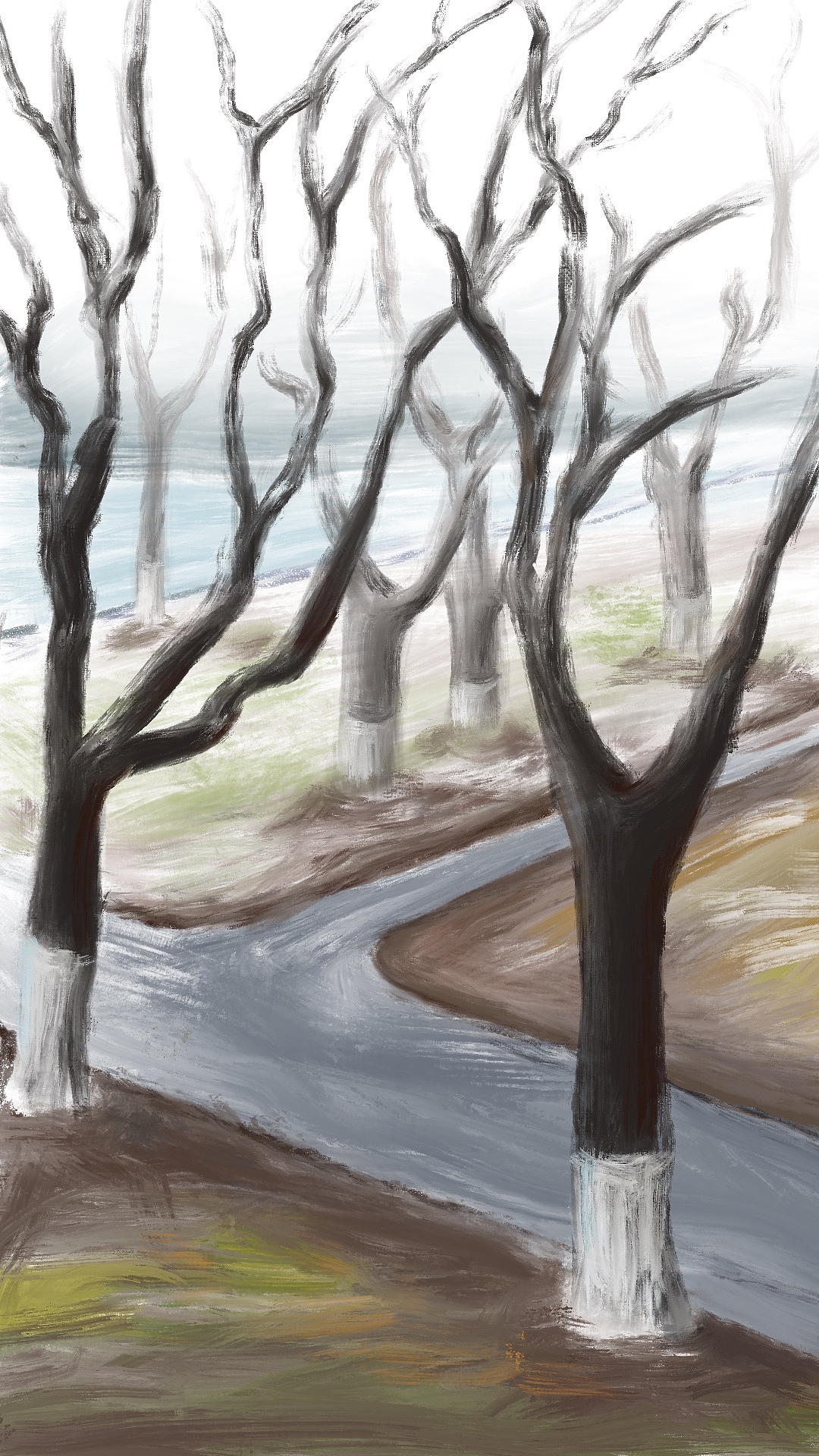 冬天公园里的树|插画|创作习作|soooonna_原创作品-站酷zcool