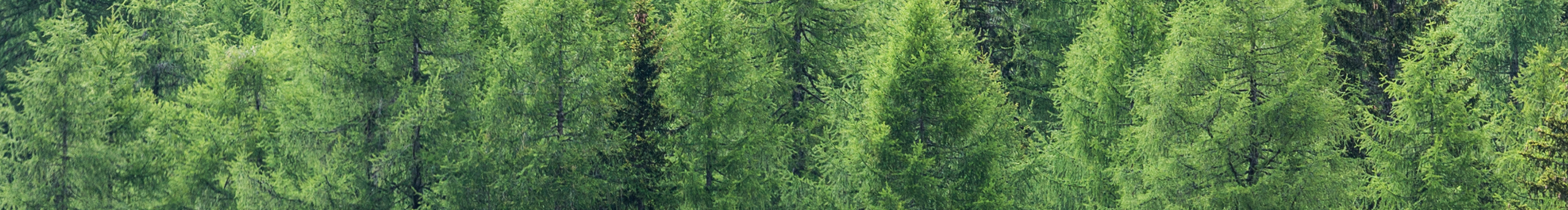 符琪鸿的个人主页（封面预览） - 主页封面设置 - 站酷设计师符琪鸿原创素材 - 站酷ZCOOL