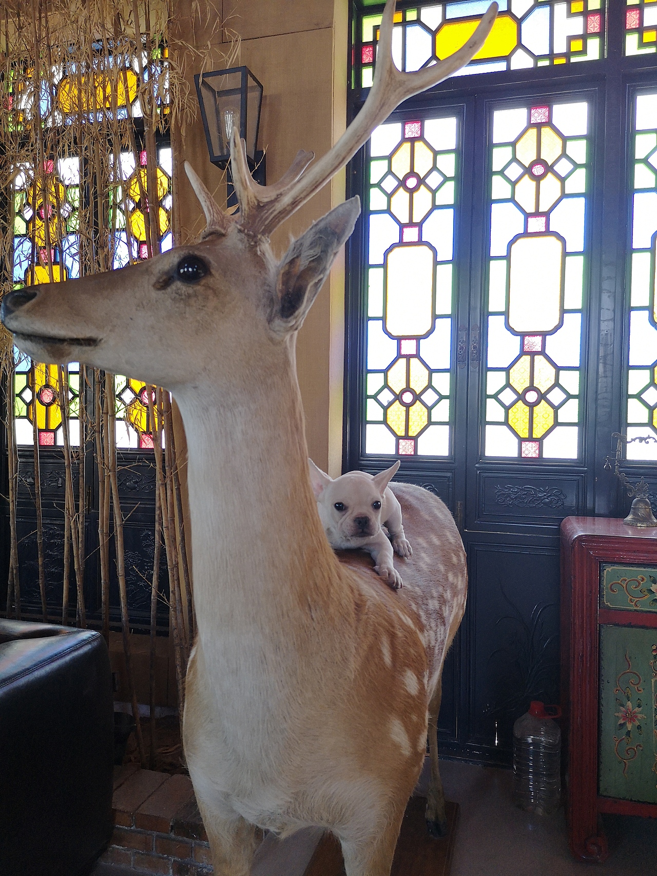 西山会所 别墅（图ZMTM0ODc3ODY0） - 建筑设计 - 站酷设计师东方意原创素材 - 站酷ZCOOL