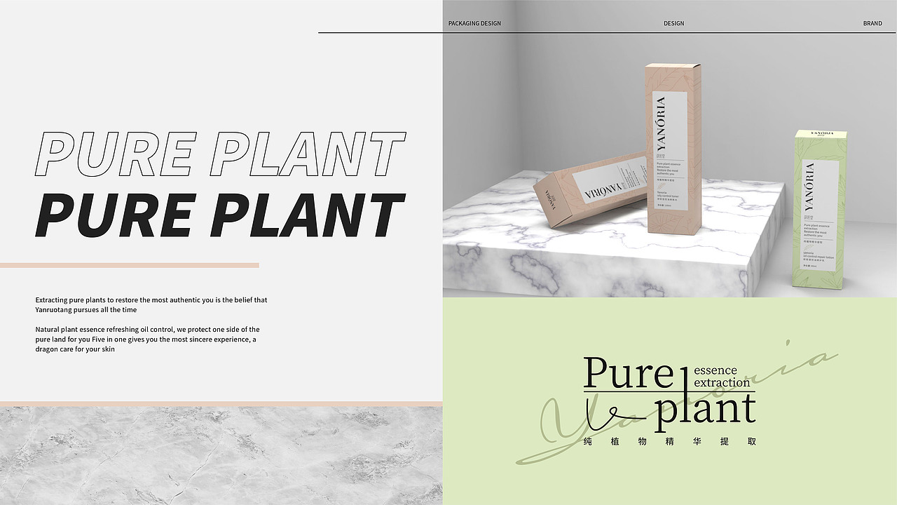 YANORIA×凌旬 | 研若堂