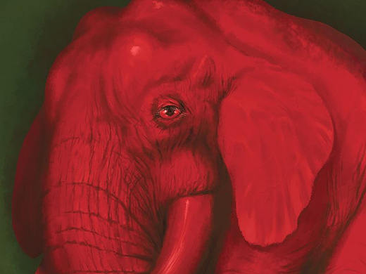 梦中的动物系列