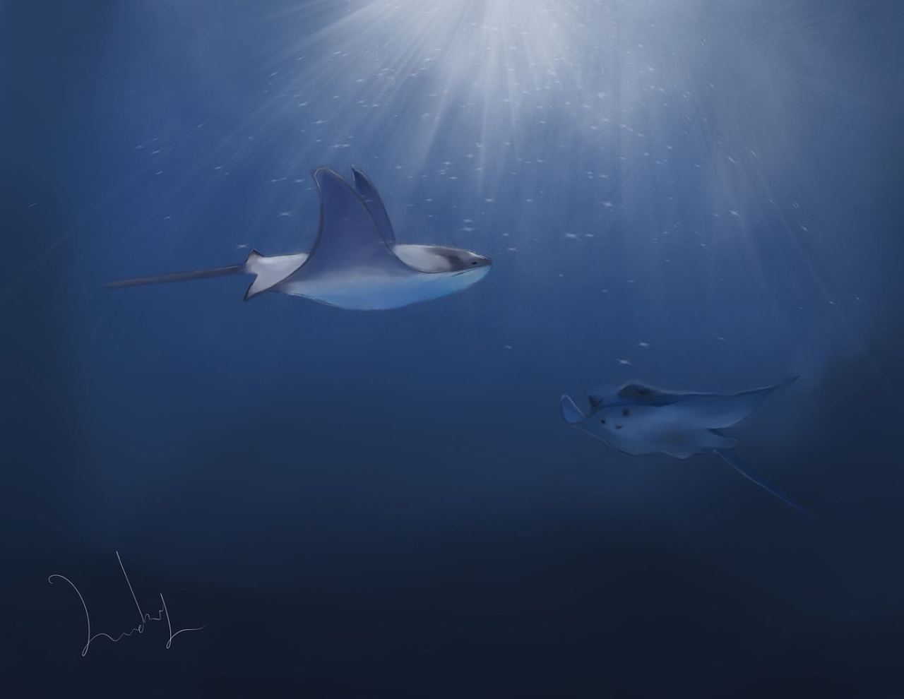 魔鬼鱼|插画|创作习作|hoi_ys - 临摹作品 - 站酷 (zcool)