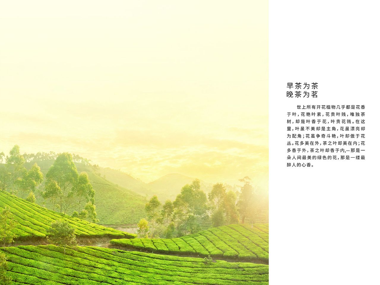 茶乡（图ZMTE0Nzg0NTg4） - 书籍/画册 - 站酷设计师小魔头666原创素材 - 站酷ZCOOL
