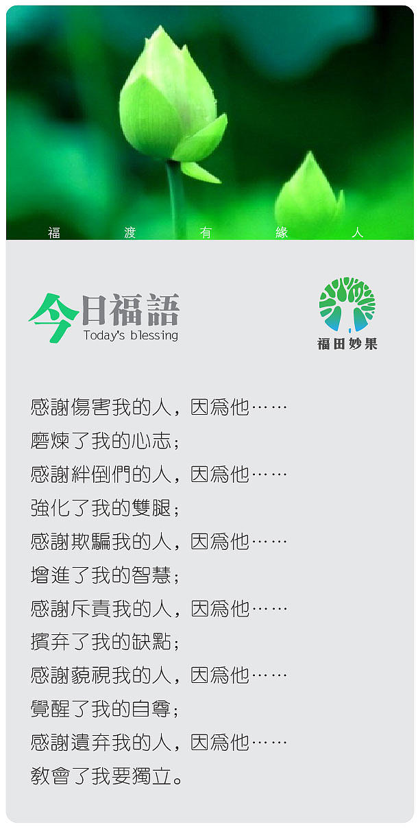 《福田妙果》微信小海报设计第二季。（图ZODY2MTAwNA==） - 海报 - 站酷设计师摩摩超人原创素材 - 站酷ZCOOL