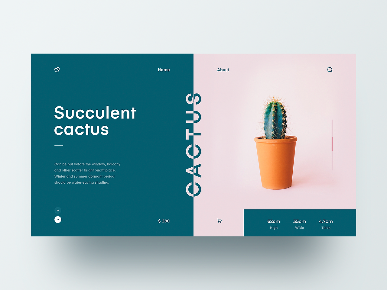 Recently I bought a potted succulent cactus, and I want to design a web page for it. In the later stage, I will add interactive effect to show the specific process by animation.