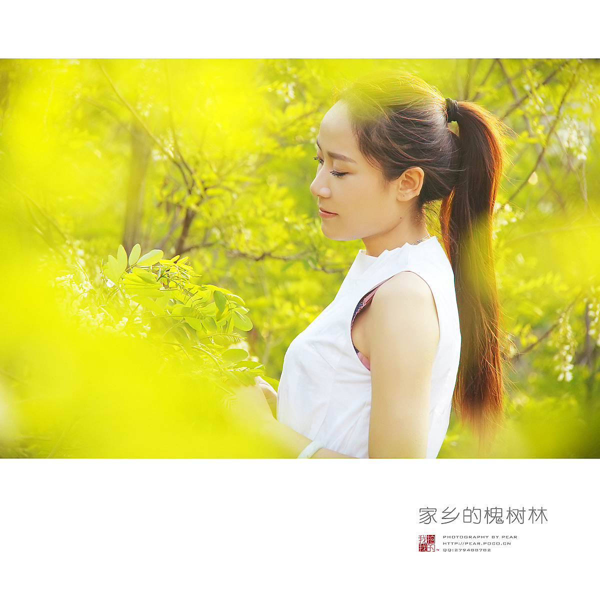 家乡的槐树林（图ZMTU4ODMxMTY=） - 人像摄影 - 站酷设计师pear1103原创素材 - 站酷ZCOOL