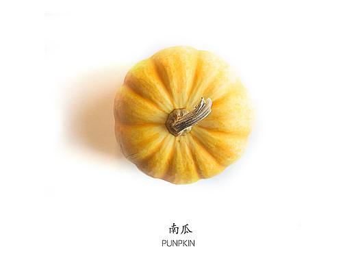 纯食品画册