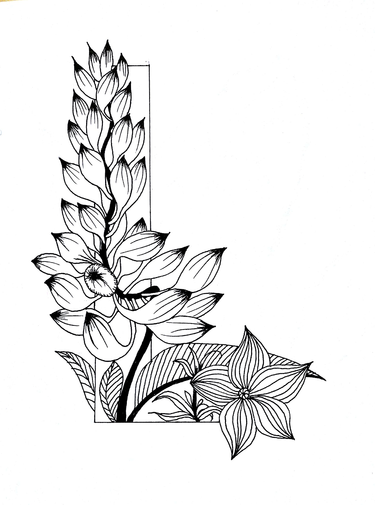 系列字母花卉插画（图ZMTQxMDk1OTE2） - 绘本 - 站酷设计师麟松原创素材 - 站酷ZCOOL