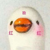 ananaiu的头像