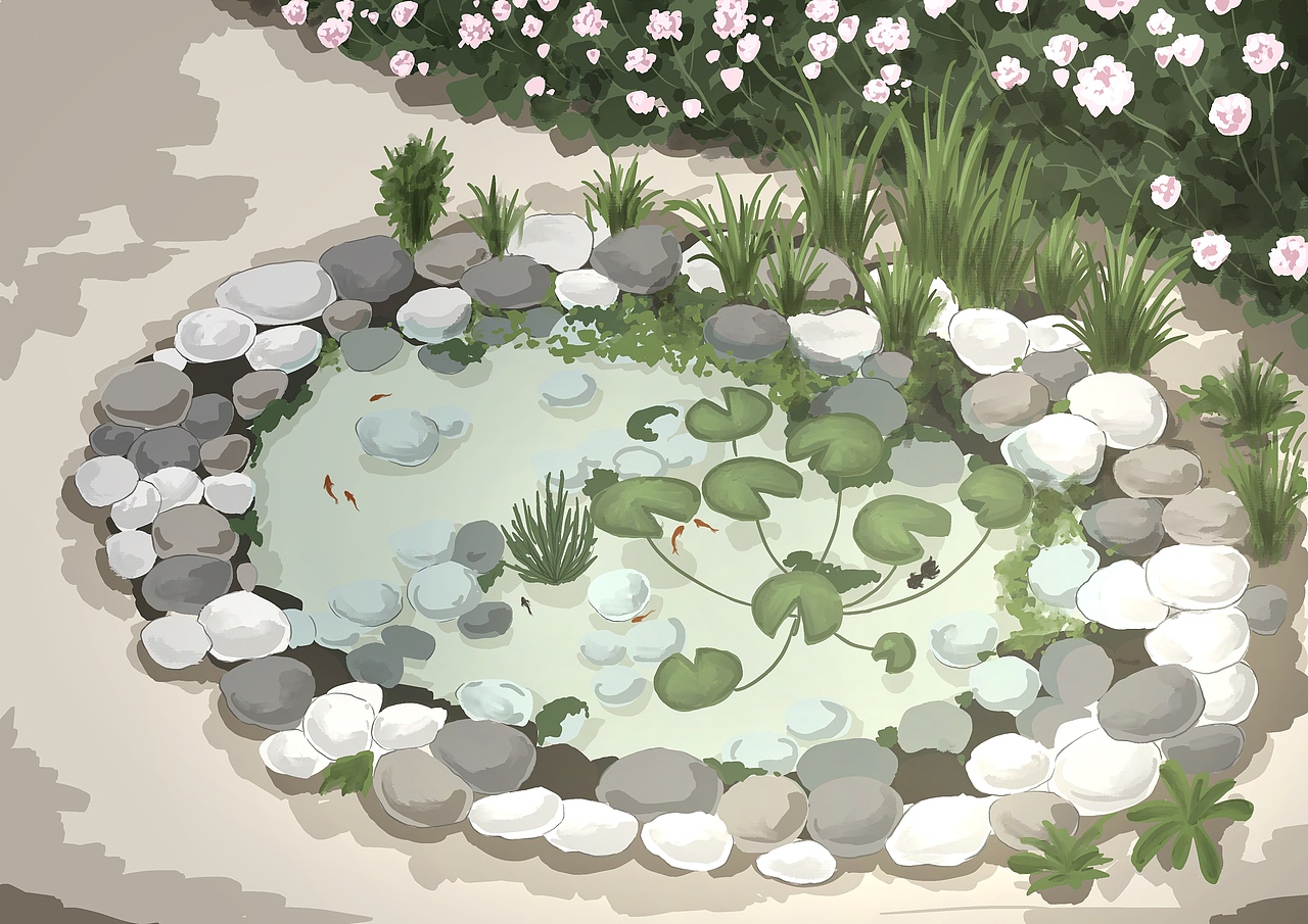 【治愈的花园】鱼池有鱼了(插画)