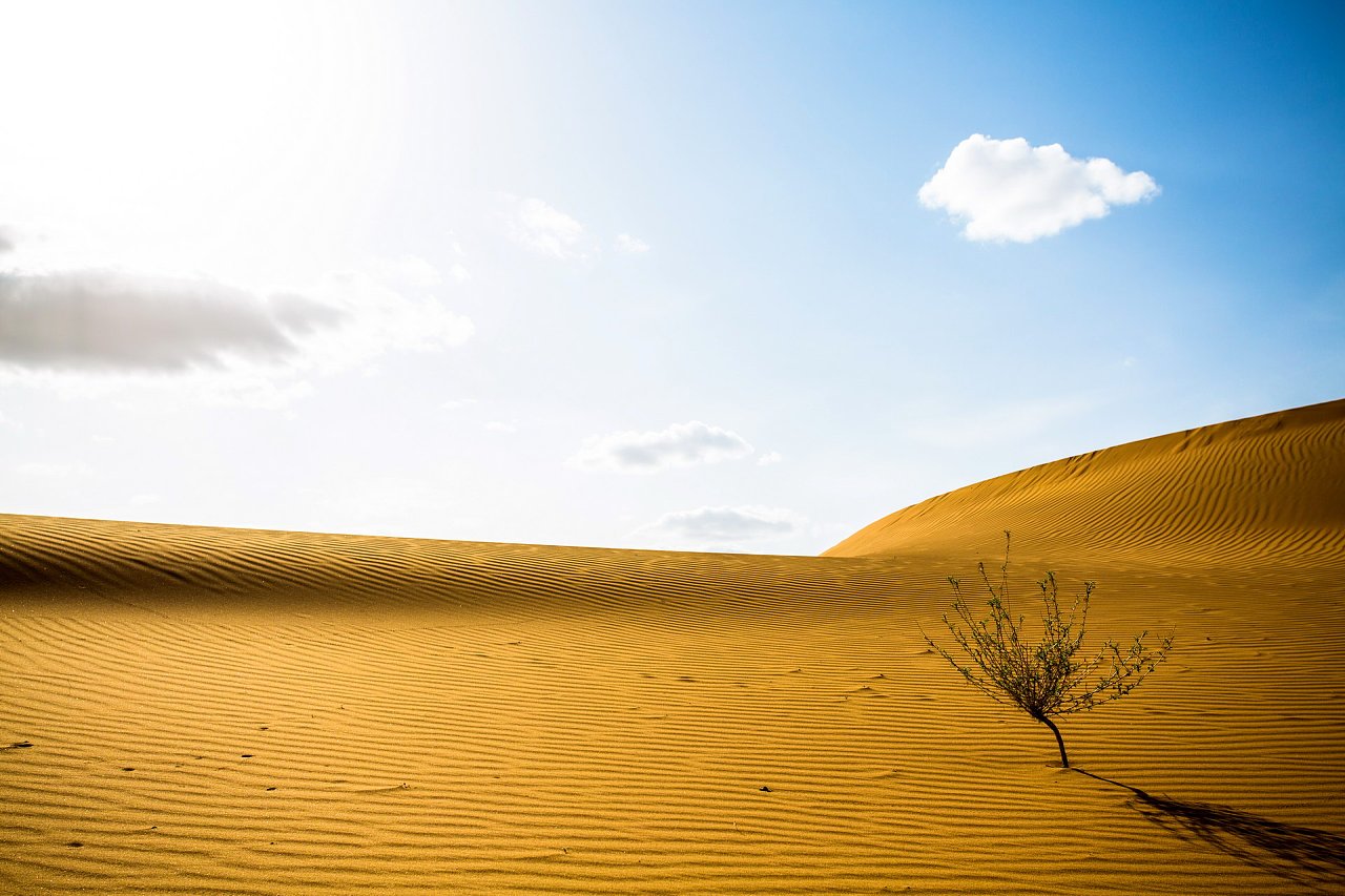 银川--沙漠半日游--周恩旭|摄影|风光摄影|摄影师恩旭 - 原创作品