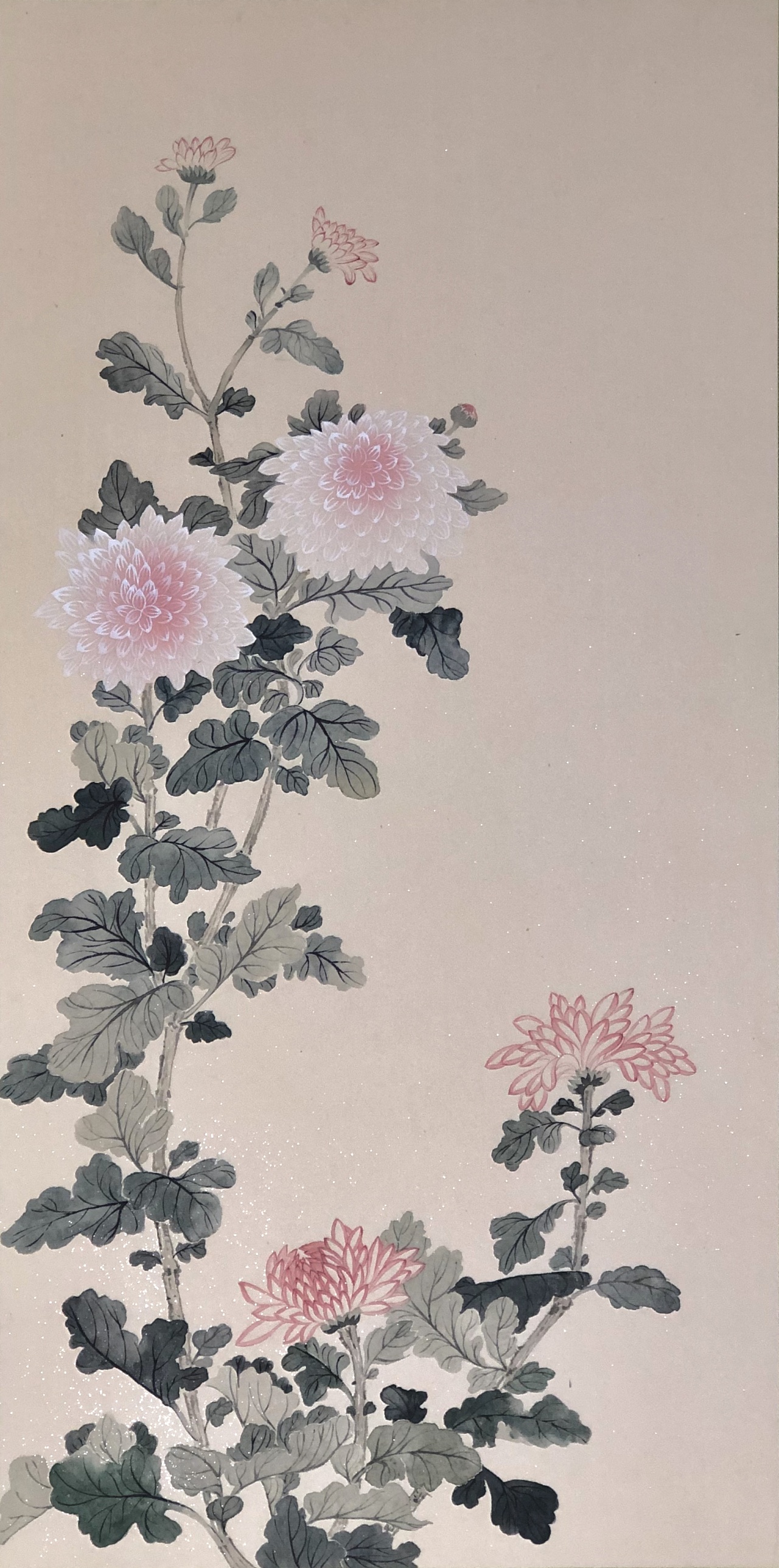没骨花卉合集存图