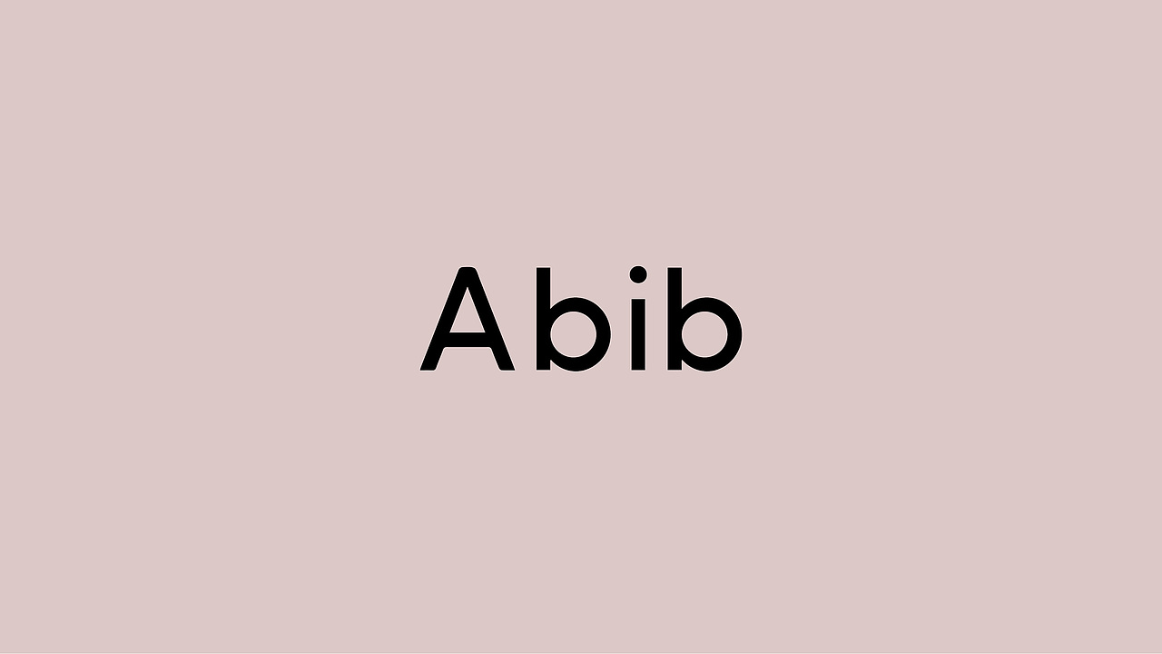 Abib护肤品牌设计 x 木沁品牌