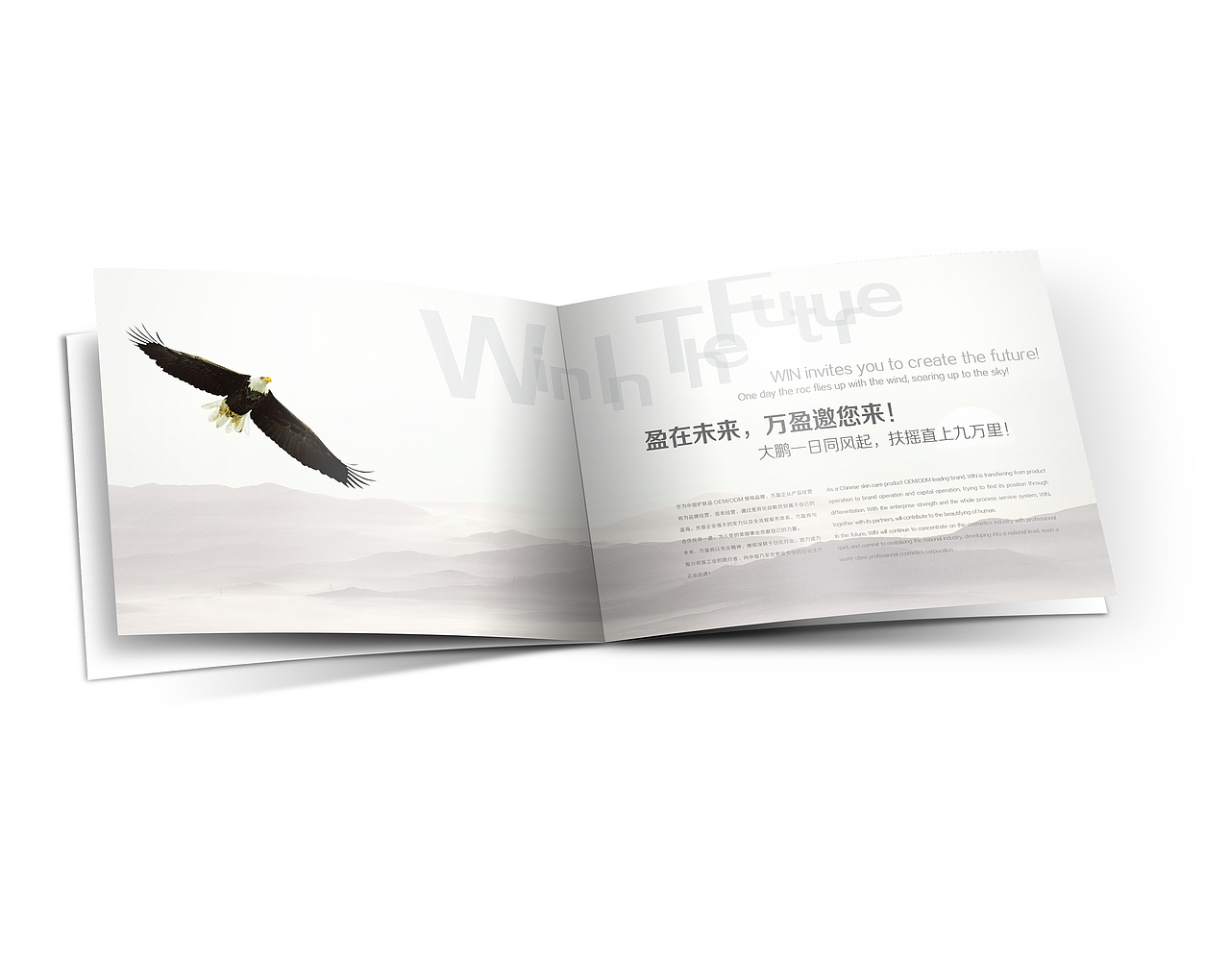 万盈骨胶原画册