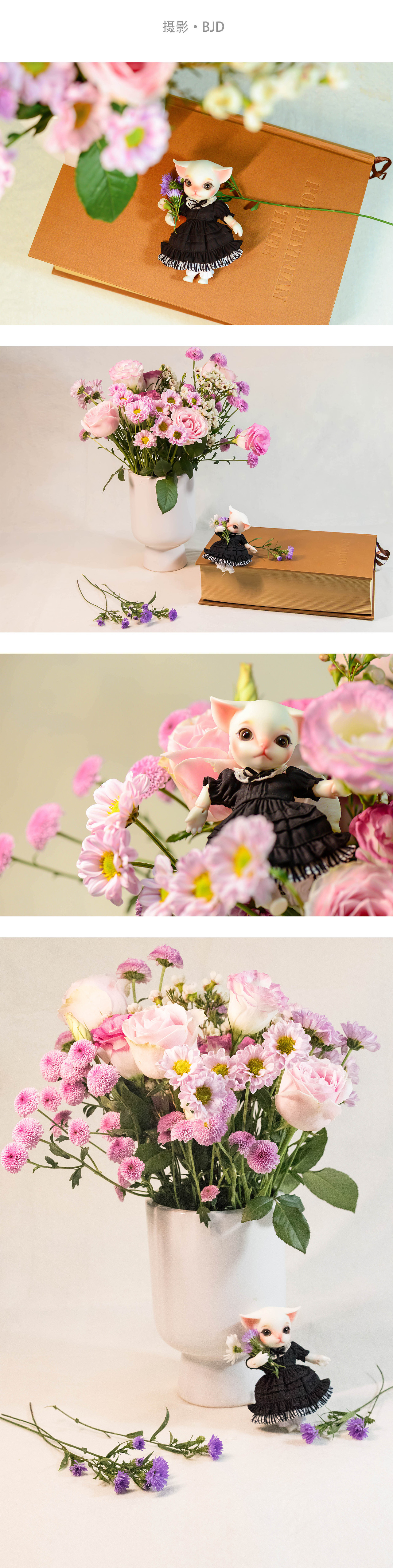 作品集（图ZMjA3NTIzNTA4） - 品牌 - 站酷设计师羊与羊毛_原创素材 - 站酷ZCOOL