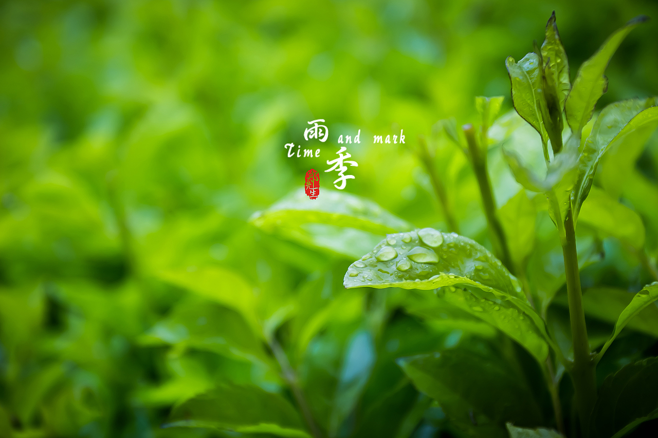 《雨季》（图ZOTQ0NzQyODg=） - 风光摄影 - 站酷设计师郑墨丶初言原创素材 - 站酷ZCOOL
