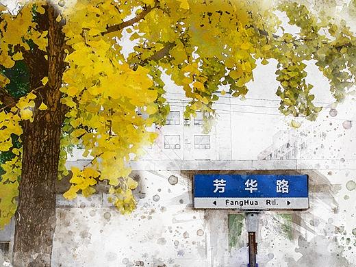 银杏叶·秋日记忆