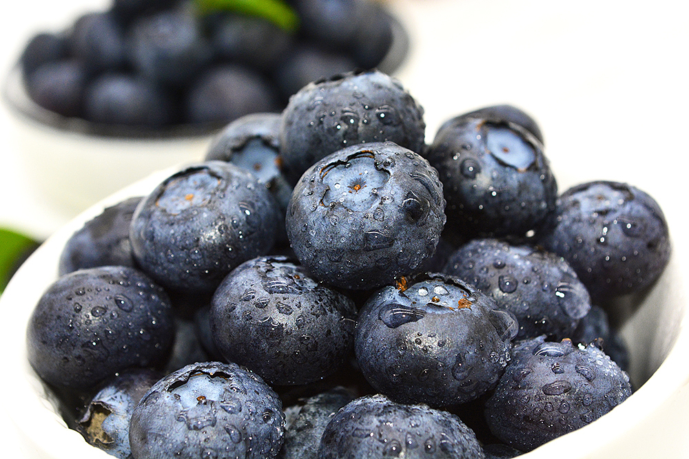 蓝莓/水果/静物