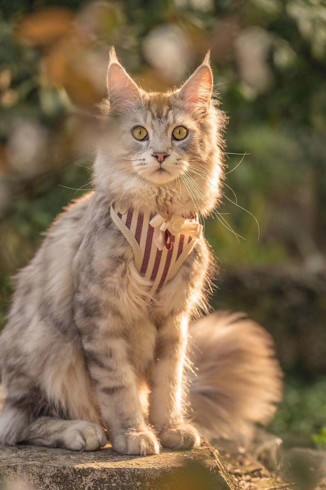 家有小调皮~~~~~