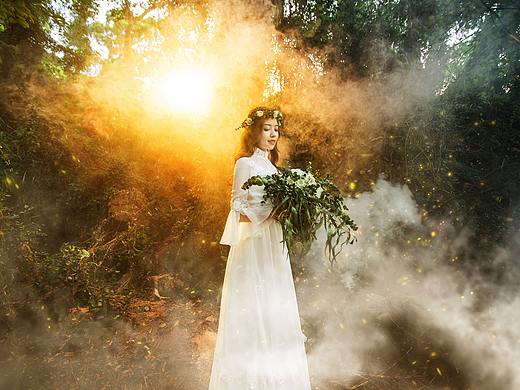 沙滩与森林之仙境