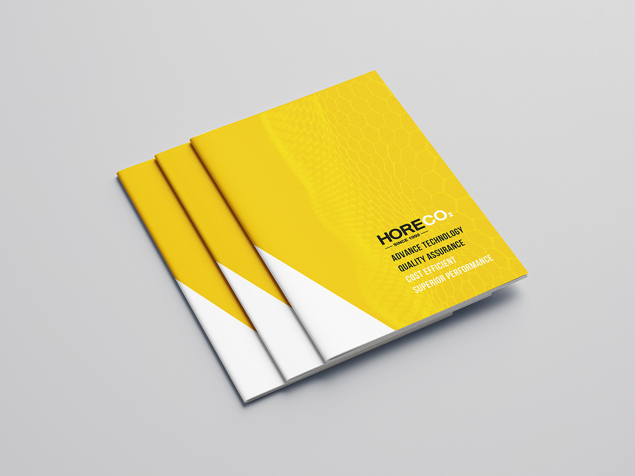 HORECO2画册