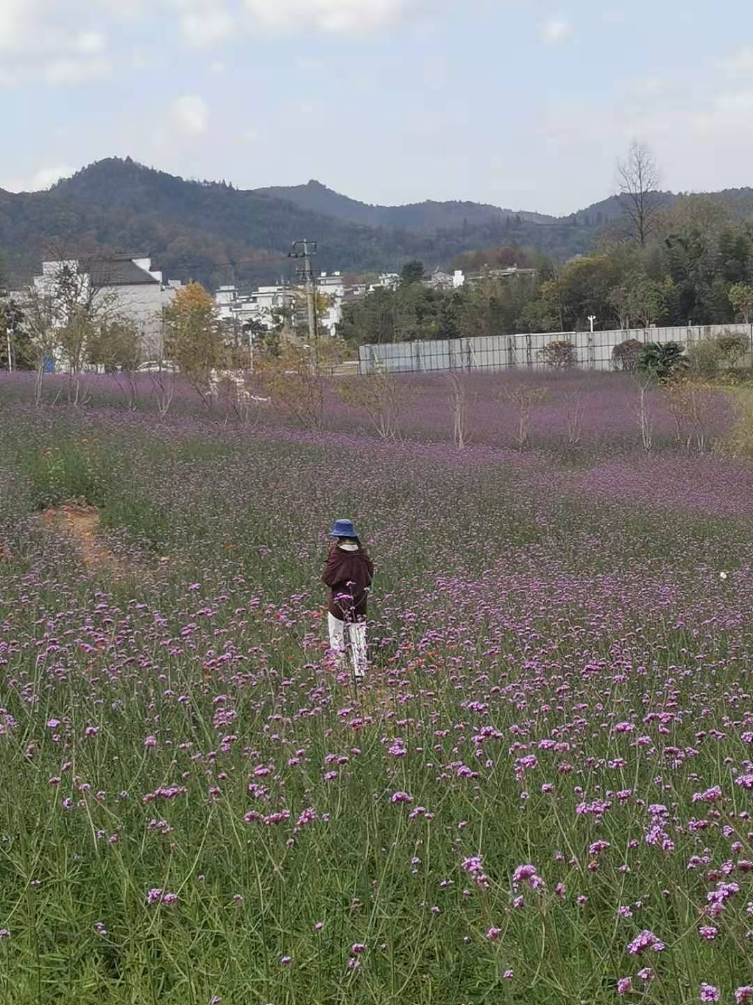 我的考察之旅（图ZMjMzMjkxMDE2） - 风光摄影 - 站酷设计师蛮扯的原创素材 - 站酷ZCOOL