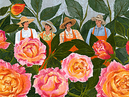 园艺的美好时光🌷｜原创插画