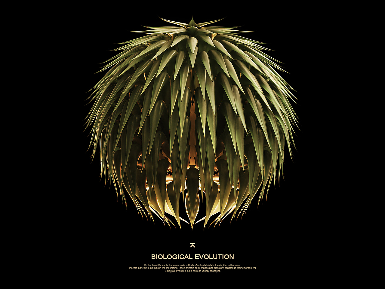 《生物进化Evolution》（图ZMTgwNjgwNTI0） - 人物/生物 - 站酷设计师琉璃小姐姐原创素材 - 站酷ZCOOL