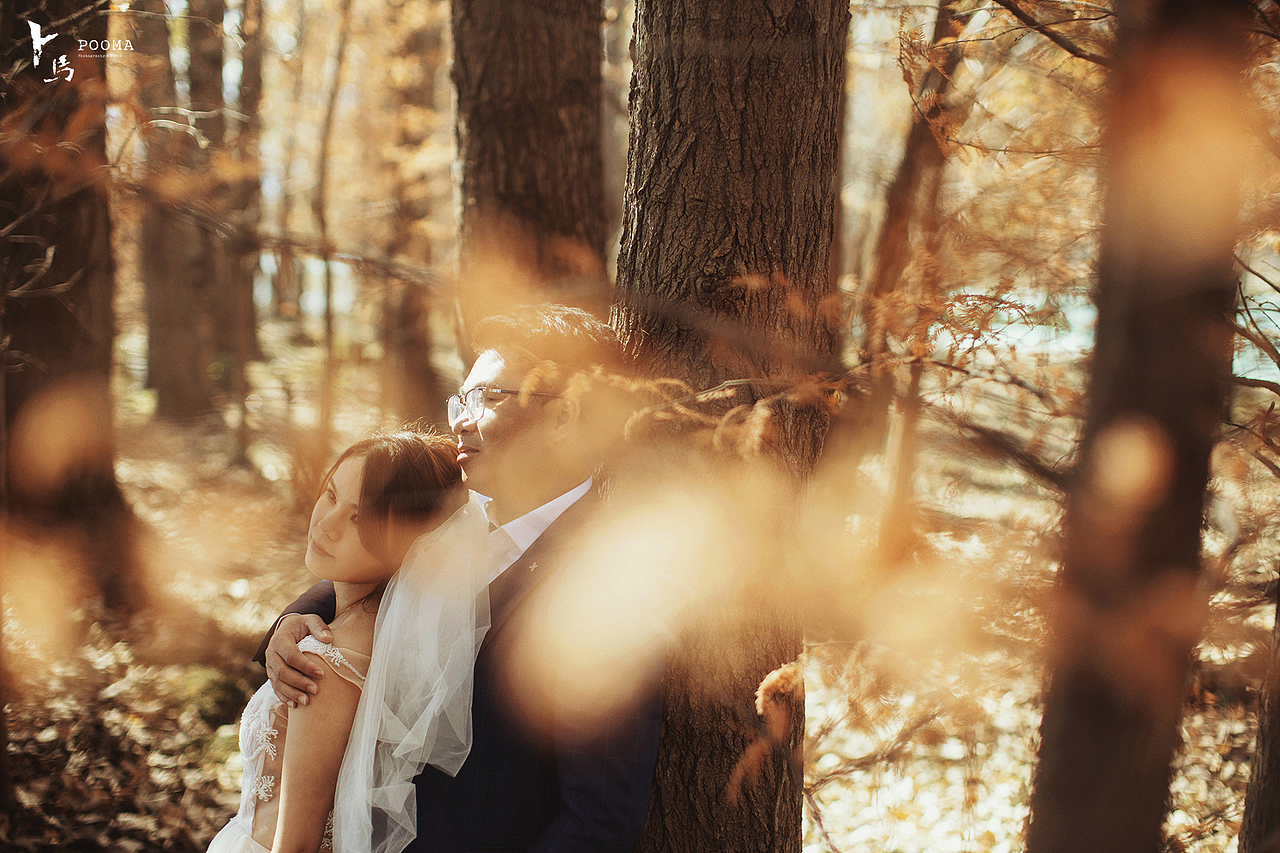 带你去看初冬的森林 | 大理（图ZMjM0ODAxMTQw） - 婚礼摄影 - 站酷设计师Pooma卜马原创素材 - 站酷ZCOOL