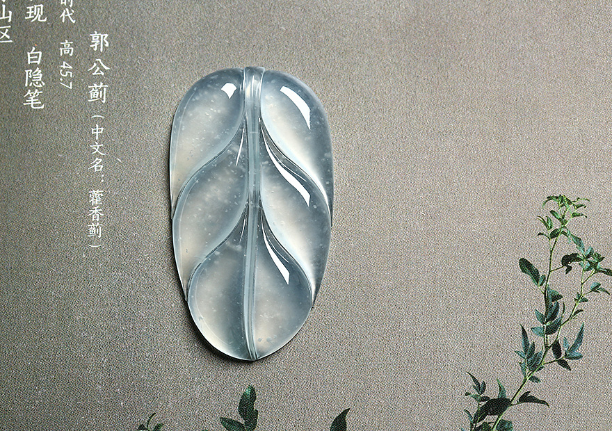 聚翠光廊—翡翠摄影—叶子