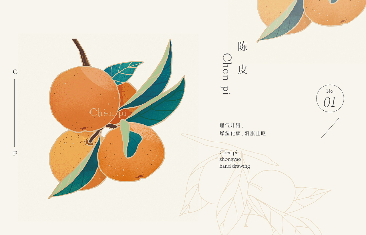 佛慈药业-中药包装手绘（图ZMjQxMDAyMTg0） - 包装 - 站酷设计师芦思宇原创素材 - 站酷ZCOOL