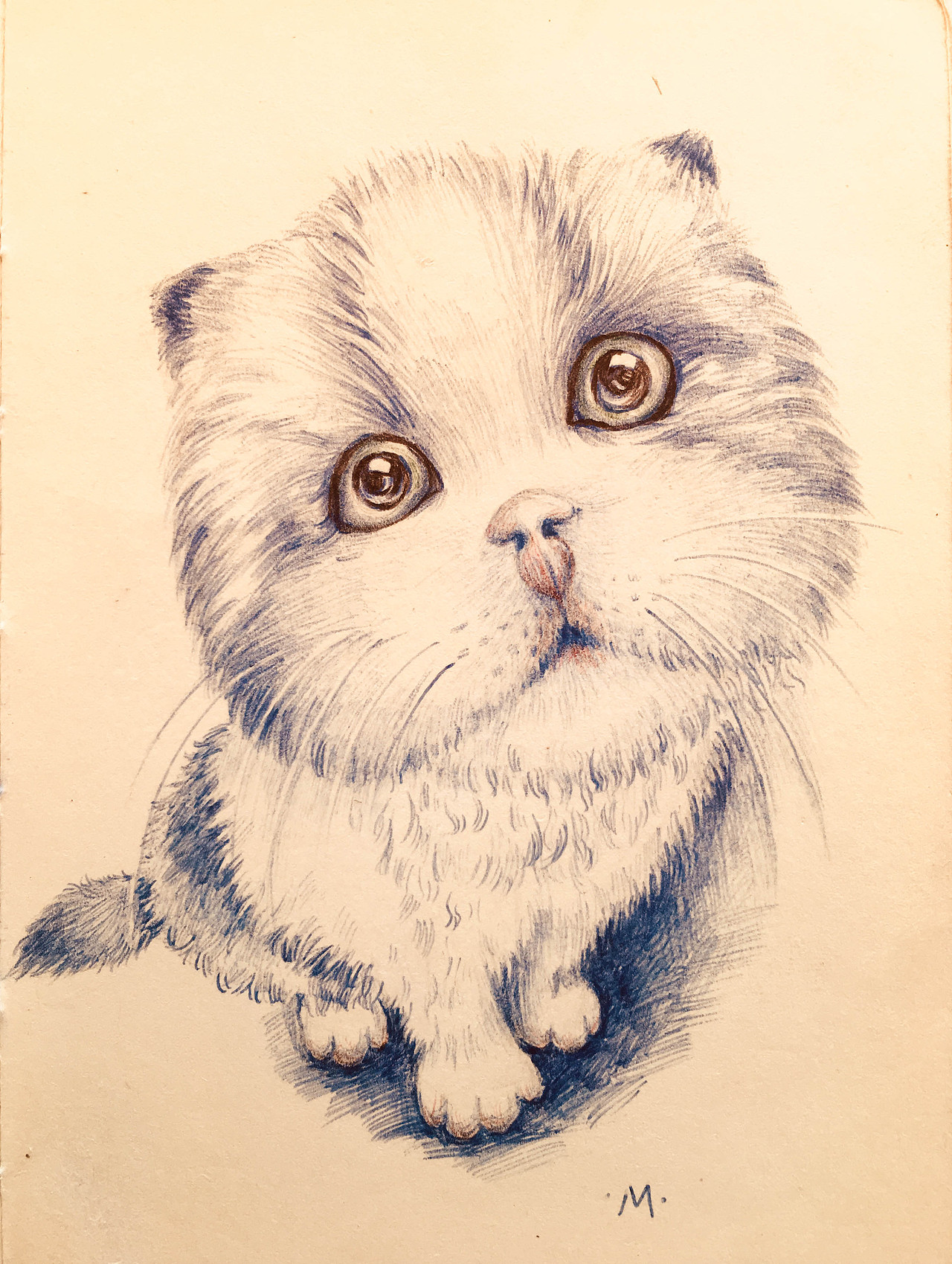 圆珠笔绘画练习(动物篇)