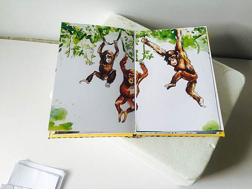 《小猩猩绘本》